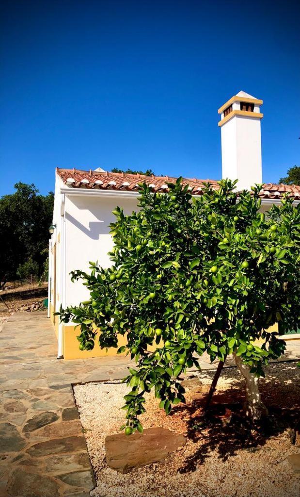 Casa Do Forno Evora Retreat Villa Redondo Dış mekan fotoğraf